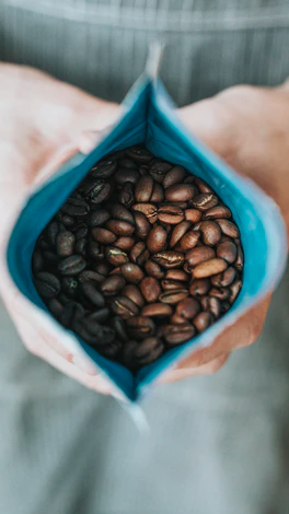 Tipos de Grano de café Robusta