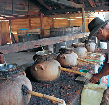 Alambiques de Barro Mezcal