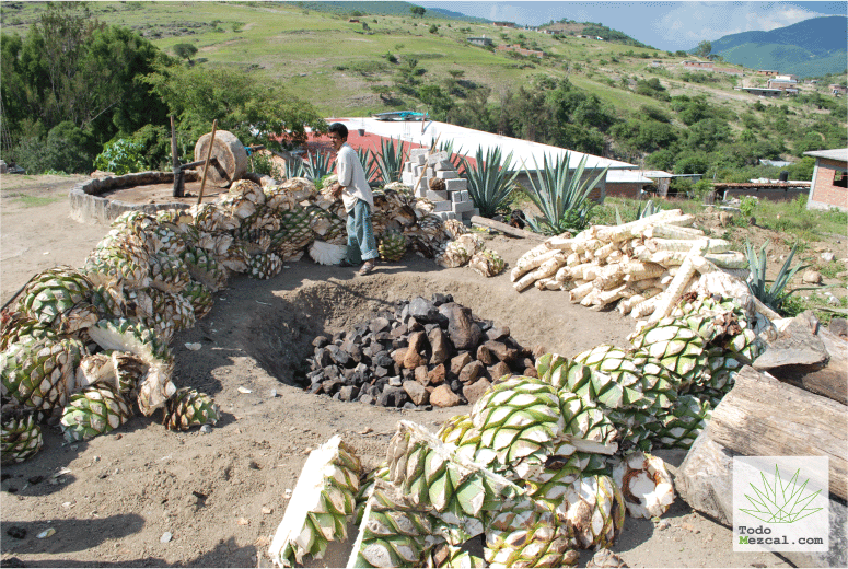 Horno cónico para hacer mezcal