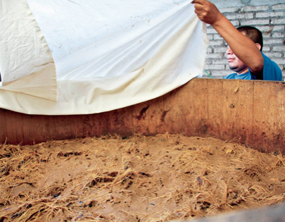 Tina de Fermentación Mezcal