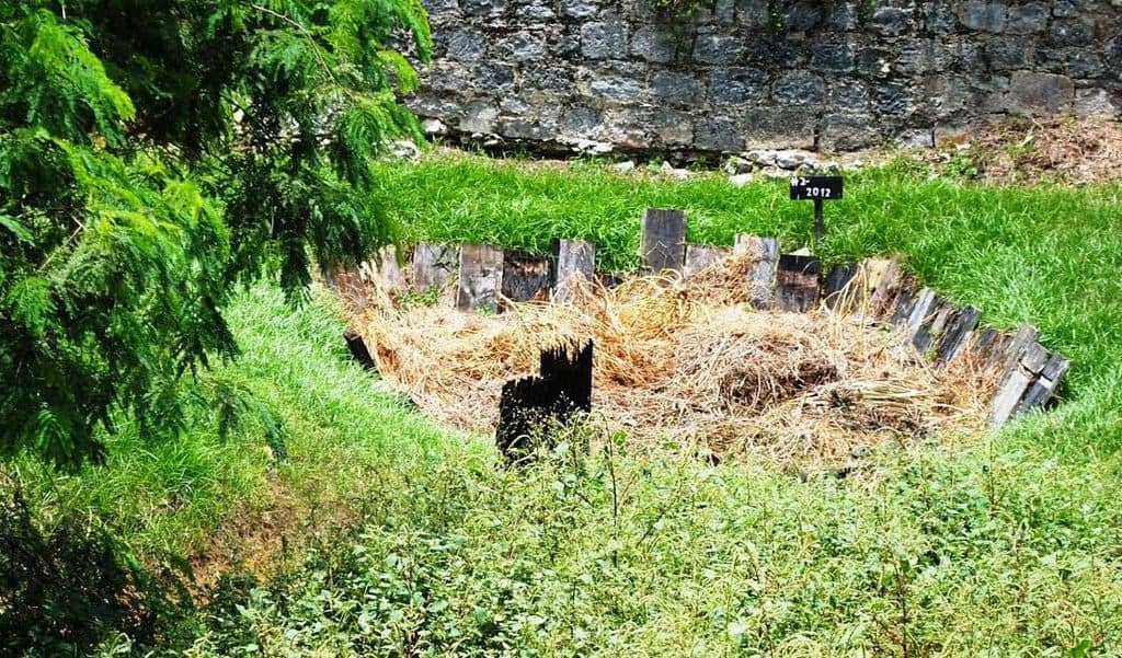 Dunder pit o muck hole del ron jamaiquino