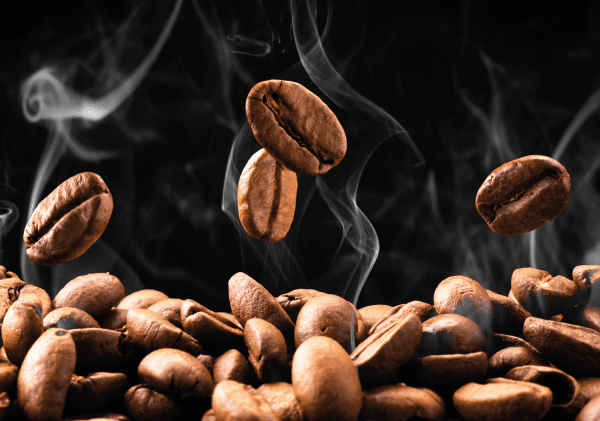 Tipos de granos de café